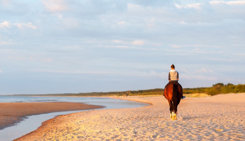 Horseback Beach Ride <span>with professional instructors</span> - 1 - Wroclaw Tours